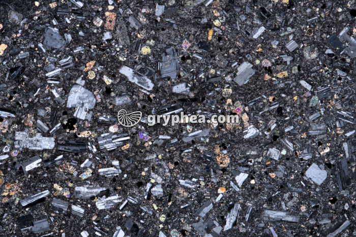 Andésite LPA x2 - gryphea.org